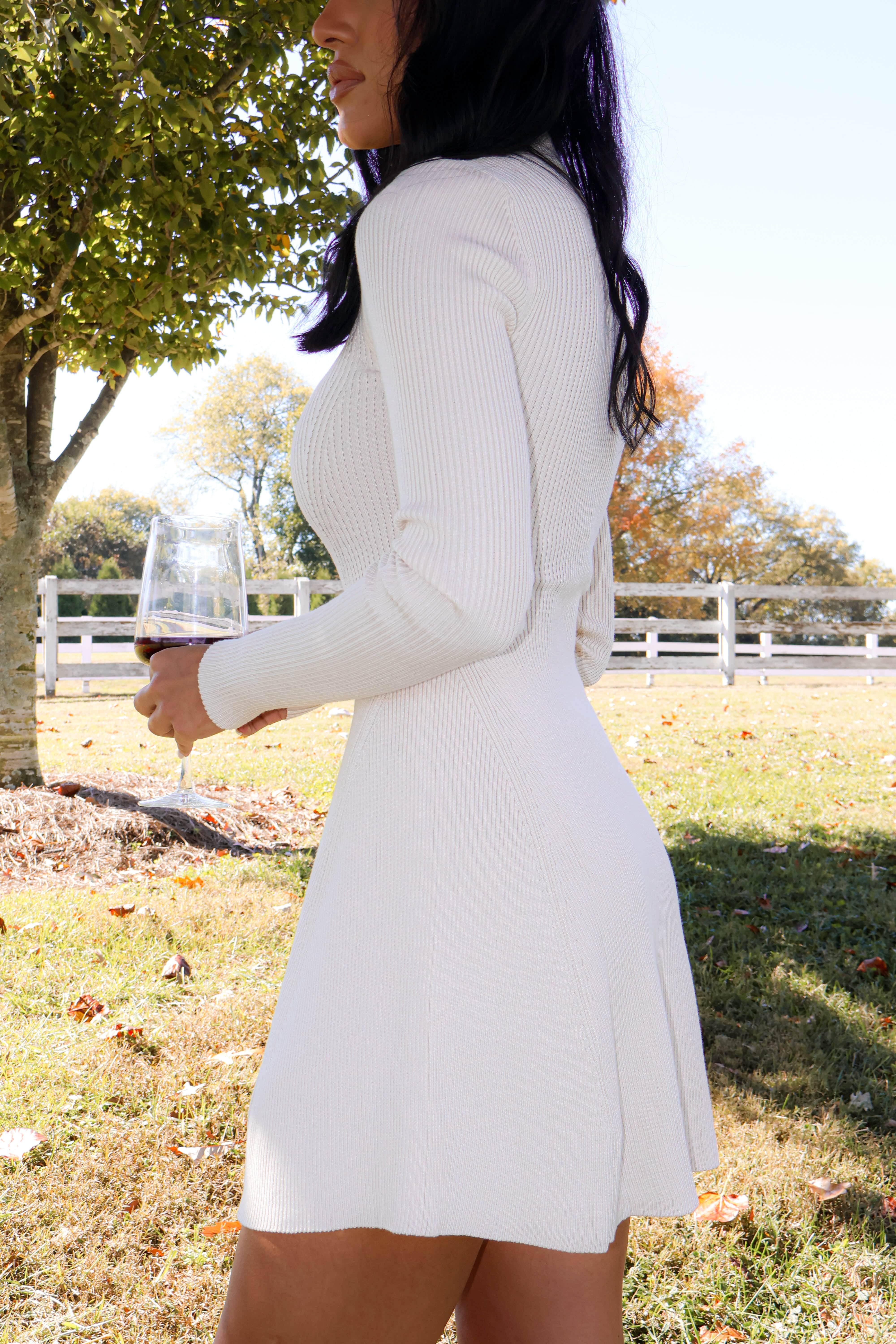 Toasting The Season Dress - Image 10